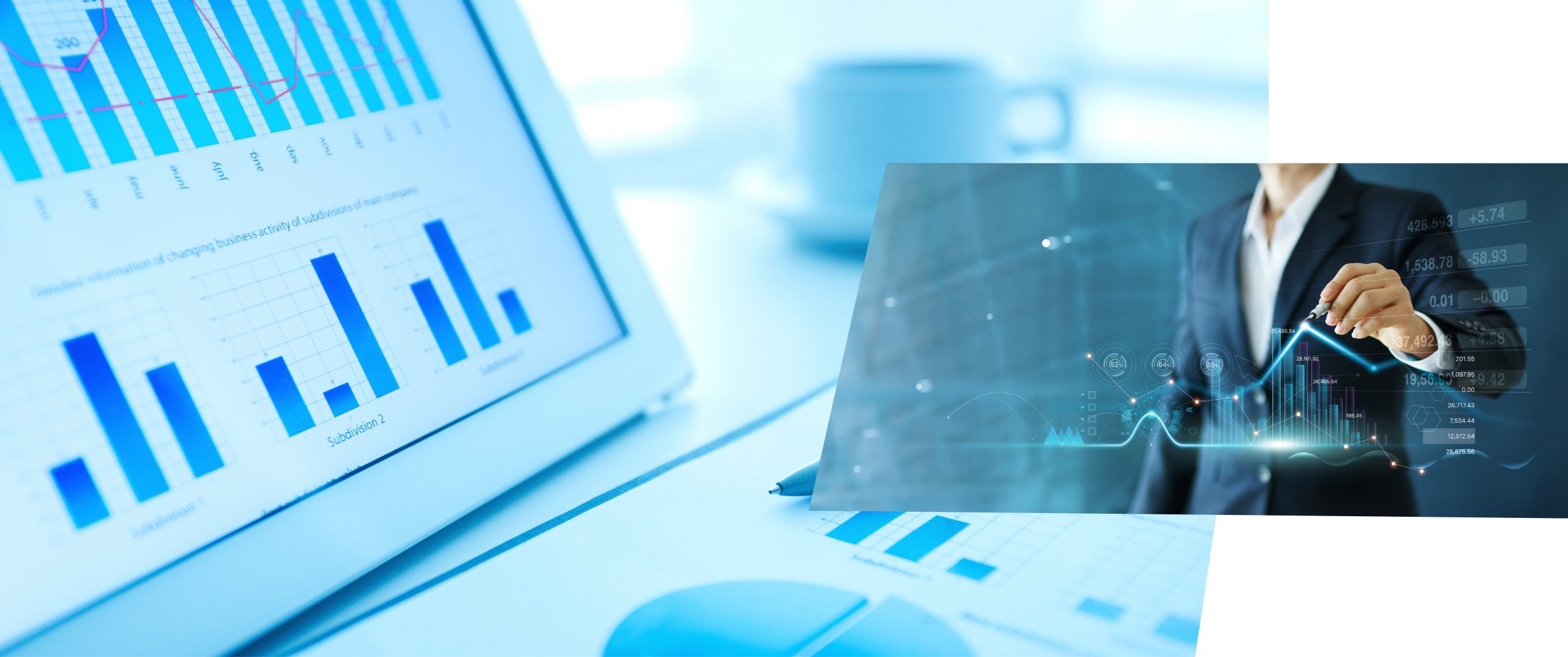 Research & Documentation Services